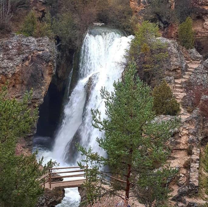 Casa Rural La Endrina Terriente Dış mekan fotoğraf