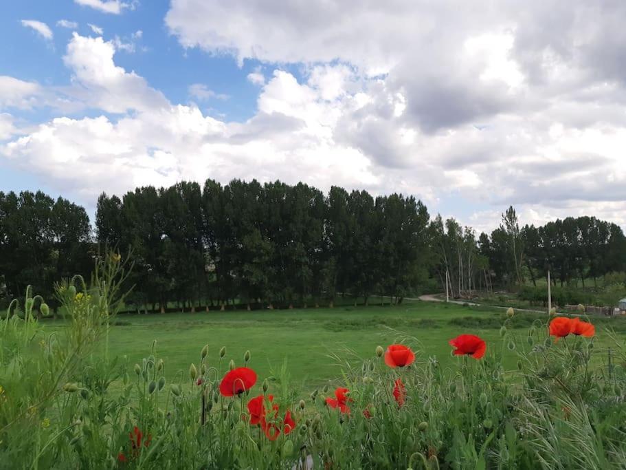 Casa Rural La Endrina Terriente Dış mekan fotoğraf